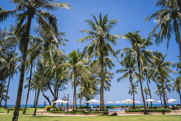 Amazing tropical paradise beach with swimming pools and coconut palms