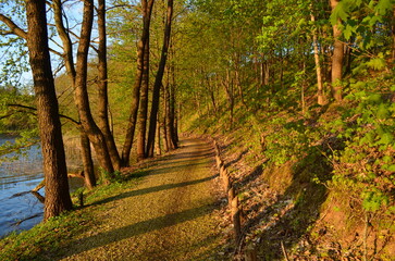Spring path along the squirrel path around the lake in olecko