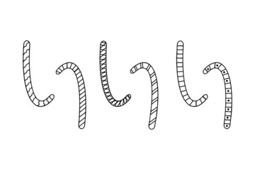 Set of tasty sweet lollipops elements in doodle style on white background for beauty design and postcard decoration.