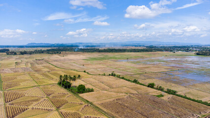 Pinrang, Sulawesi Selatan Indonesia.
Portrait of the harvested rice fields.
April 15 2022