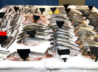  fresh fish seafood in supermarket