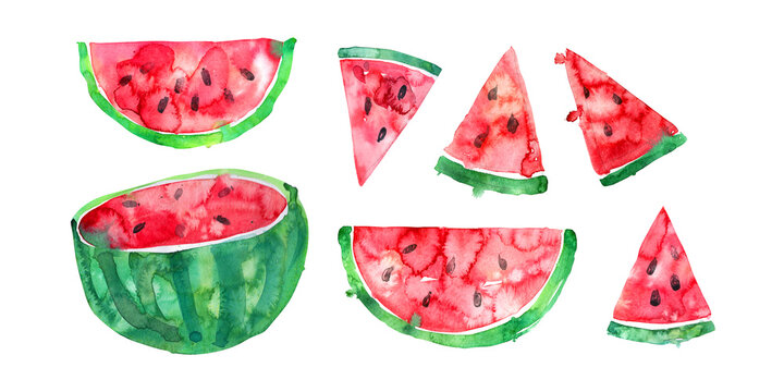 Set of watercolor illustrations: watermelon, watermelon slices,.  - hand-drawn in watercolor. Sketch style illustration of juicy, ripe watermelon isolated on white background. Tropical fruits clipart.