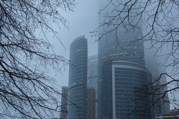 Modern business and financial district of the city in the fog. Foggy view of the towers of the Moscow International Business Center Moscow-City. Mystical city landscape. View through tree branches.