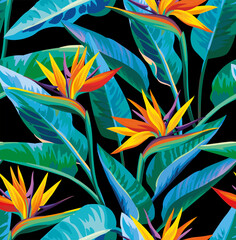 Seamless tropical pattern with strelitzia. Floral summer design on a black background. Vector illustration.
