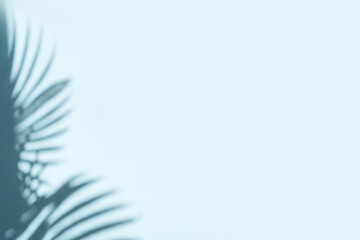 Palm leaves shadow on pastel blue wall background . Summer tropical beach background. Top view, flat lay, copy space, wallpaper.