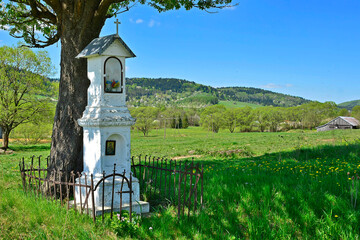 Old  white small chapel under tree, green grass under blue sky and clouds. Mszana, Low Beskid (Beskid Niski), Poland - obrazy, fototapety, plakaty