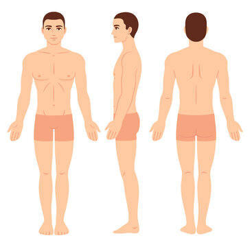Male body chart template