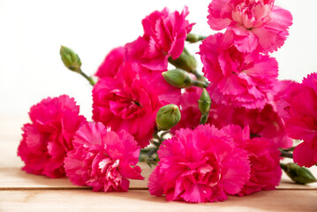 Delicate light pink carnation flowers