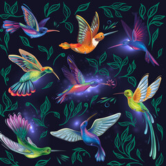 Set with Hummingbirds Magic Colibri © Viktoriia Protsak