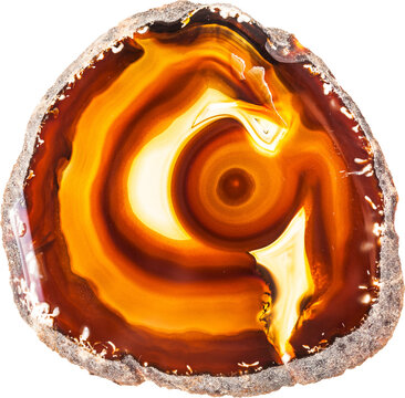 Vibrant Agate Geode slice