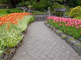 Obraz premium Lush garden blooming in the springtime with tulips, flowerbeds and lawns