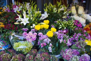 Flowers for sale at flower street shop in Milan