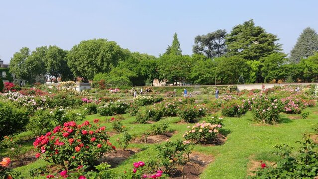 roseto della villa reale di monza