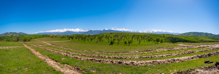 Fototapeta na wymiar Mountains, trees and sky in the countryside in Kyrgyzstan