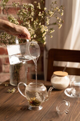 brewing flower tea in a glass teapot lifestyle