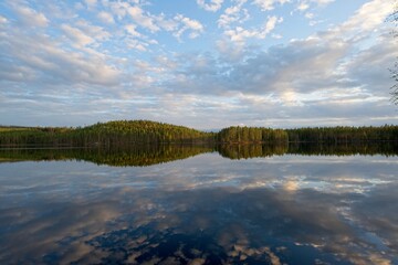 Reflection of trees in water
