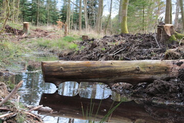 wooden bridge in lake