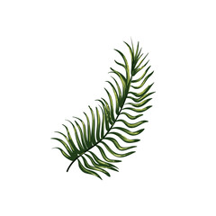 flat realistic branch leaves design
