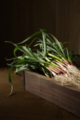 A bunch of green garlic in a wooden box