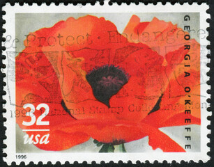 USA - CIRCA 1996: Postage stamp printed in USA shows picture of a poppy by Georgia O'Keeffe