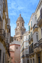 Fototapeta na wymiar Architecture view of the beautiful cathedral in Malaga, Andalusia, Spain