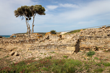 Roman ruins of Baelo Claudia, located near Tarifa. Andalucia. Spain.