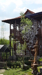 Obraz premium the beauty of tropical blooming flower plants decorates the front garden of the house in a beautiful village