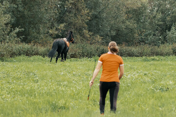 Rider walk following runaway horse in field, rear view.