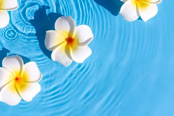 Foto auf Acrylglas Plumeria flowers on a blue water background. Top view, flat lay © Alex