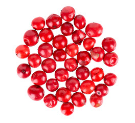Pink peppercorns isolated on white background. Dry red pepper grain. Organic spice. Top view.