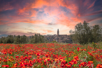 Views of Bocairent from a field of poppies at sunset.