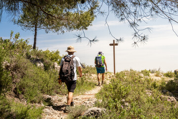 Two hikers walk along a rocky path enjoying nature on a sunny summer day.