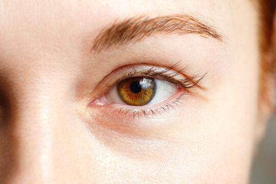 Female eye close-up. Brown eyes.