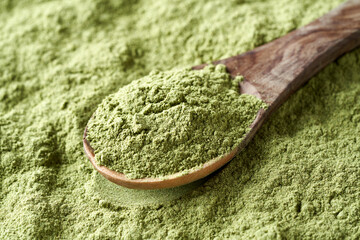 Young barley grass powder on a spoon - healthy supplement