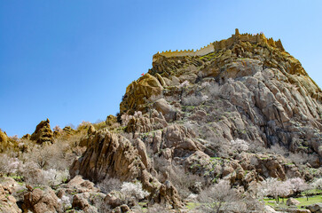 Afyonkarahisar castle on a rock with blossoming cherry trees in spring