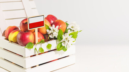 Poland apples. Natural, farm apples in a white wooden box with poland flag on white background with...