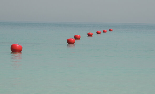 Bollas 