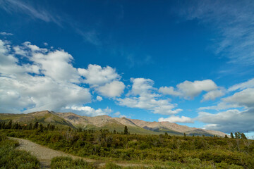 Obraz na płótnie Canvas Denali National Park