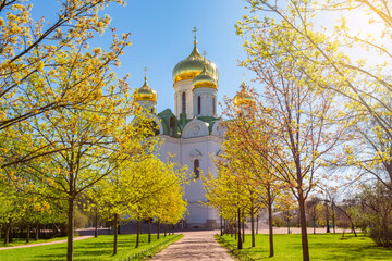 Catherine (Ekaterininskiy) cathedral in Pushkin, Saint Petersburg, Russia