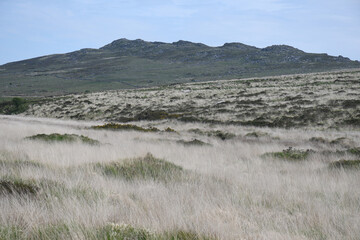 Brown Willy the highest point on Bodmin Moor Cornwall
