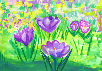 Flowering purple crocuses on a sunny day. Children's drawing