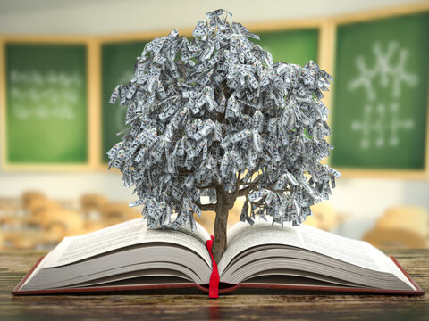 Money tree growing from book. Learning and education lead to wealth concept background.