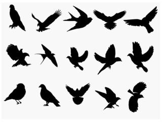 Birds Silhouette Set Vector Art, Icons, and Graphics of flying birds silhouettes Royalty Free Vector Image .EPS
