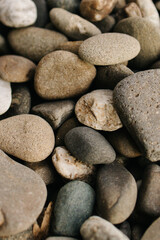 sea ​​stones