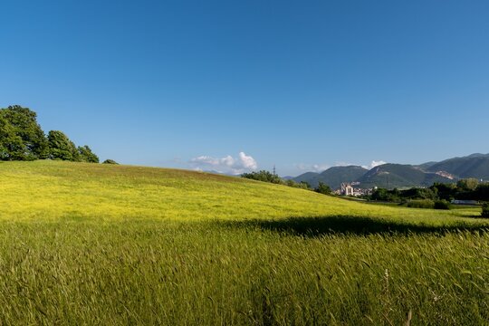 Campagna presso Colleferro - Roma - Italia