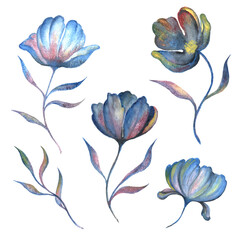 set of watercolor flowers