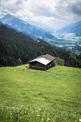 Fototapeta na wymiar alpine hut
