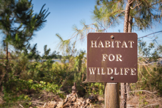 Habitat For Wildlife Sign Nature Restoration Project In A Lakeside Park