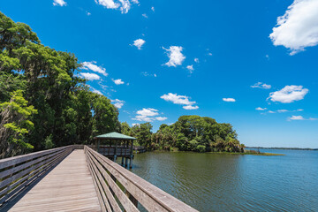 Fototapeta na wymiar Palm Island Park a nature preserve with a boardwalk on Lake Dora in Mount Dora, Florida