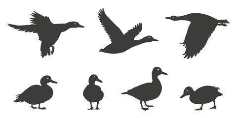duck silhouettes vol1